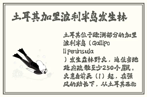 卡一卡二卡三大片